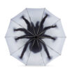 Taranturella - Odwrócony Parasol Pająk - obrazek 4