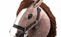 s5___chestnut-hobby-horse-with-headcollar-5.jpeg