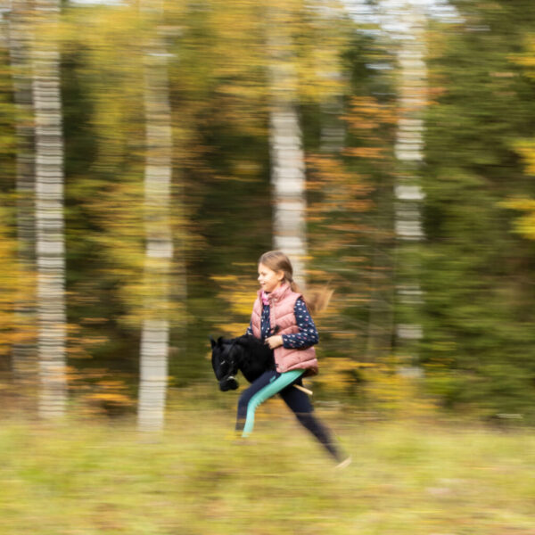 Hobby horse zabawka dla dziewczynki konik kiju A3 - obrazek 6